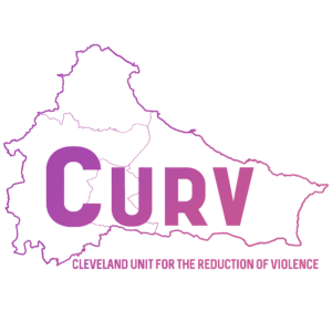 CURV logo square